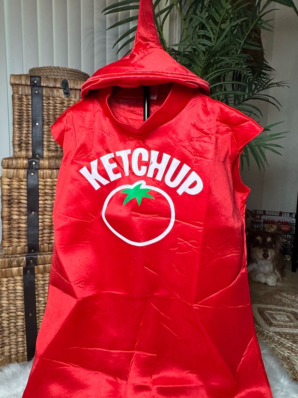 Adult/teen ketchup Costume  -over the head with hat